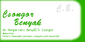 csongor benyak business card